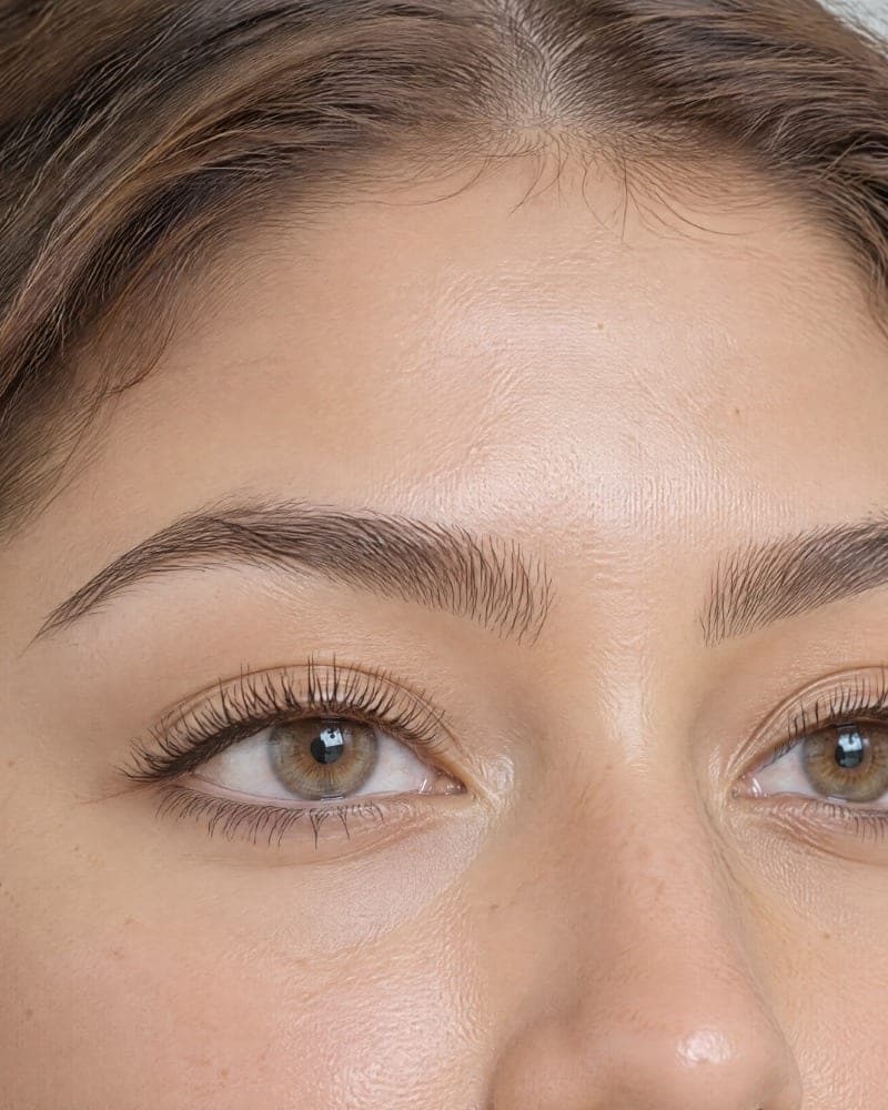 Full, brushed-up brows after lamination and tint